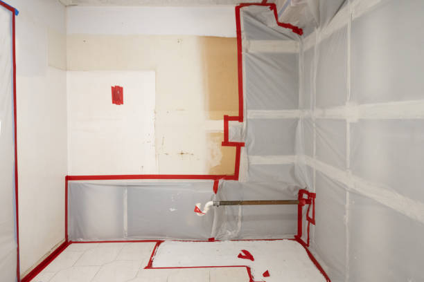 Professional Mold Removal in Brooklet, GA